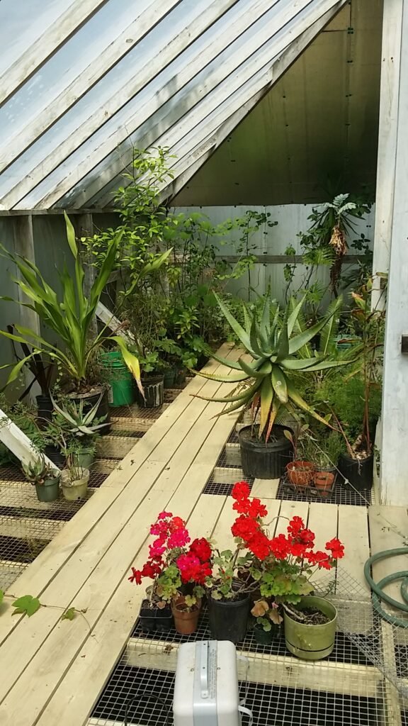 greenhouse13