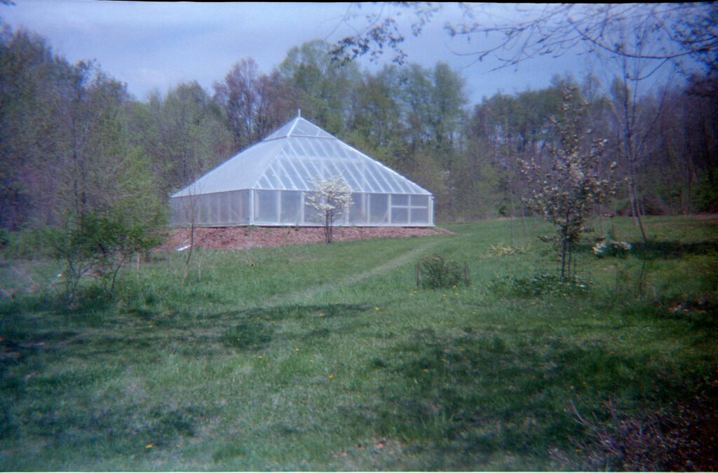 greenhouse2